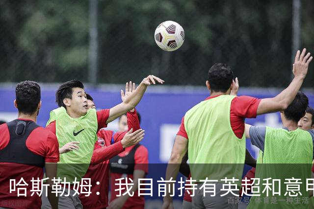 哈斯勒姆：我目前持有英超和意甲两家足球俱乐部的股份