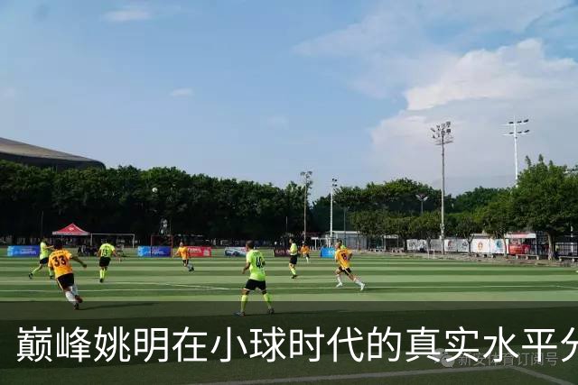 巅峰姚明在小球时代的真实水平分析