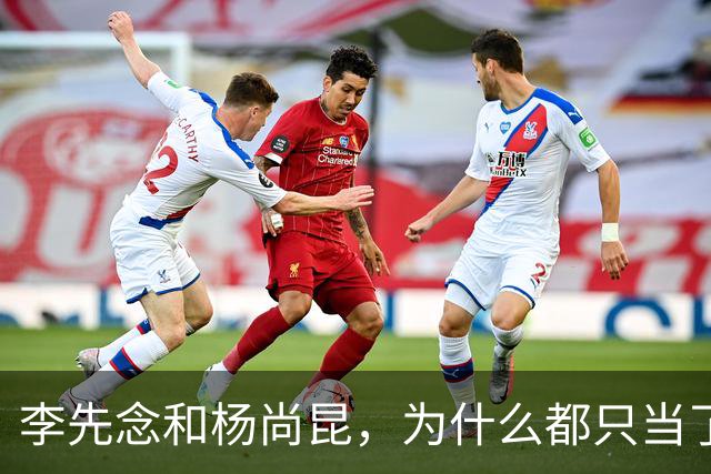 李先念和杨尚昆，为什么都只当了一届国家主席？