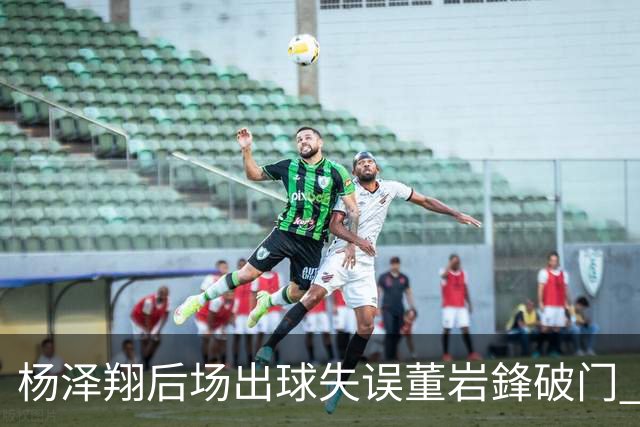 杨泽翔后场出球失误董岩鋒破门 申花0-1落后蓉城