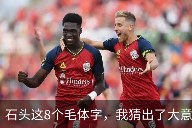 石头这8个毛体字，我猜出了大意，却有3个字对不上号！能全部认准的是真高手！同一个偏旁，位置不同，草书写法为什么也不一样？