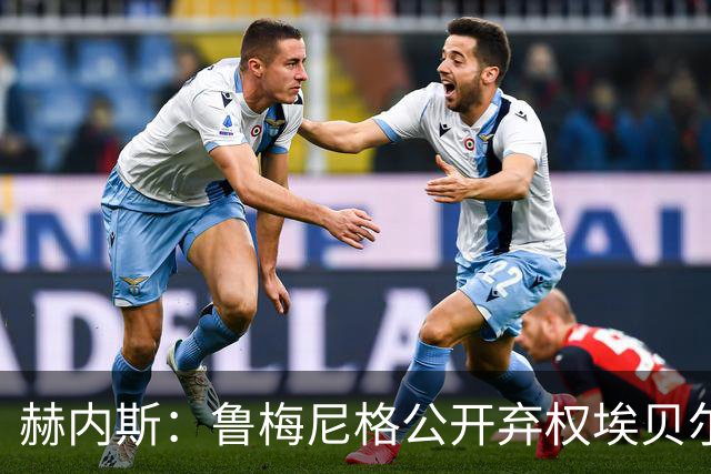 赫内斯：鲁梅尼格公开弃权埃贝尔投票没必要